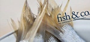 Icon Innovations - Fish & Co