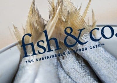 Fish And Co