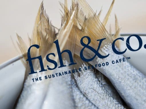 Fish And Co