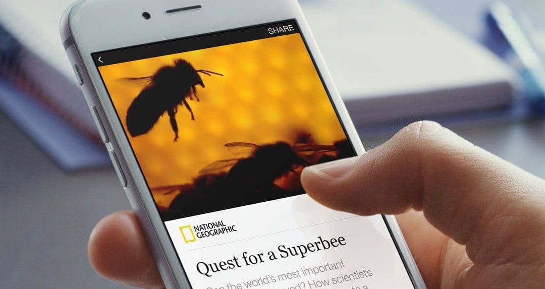 Instant Articles and the future without Apps