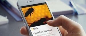 Facebook Instant Articles - icon Innovations