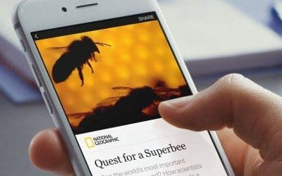 Instant Articles and the future without Apps